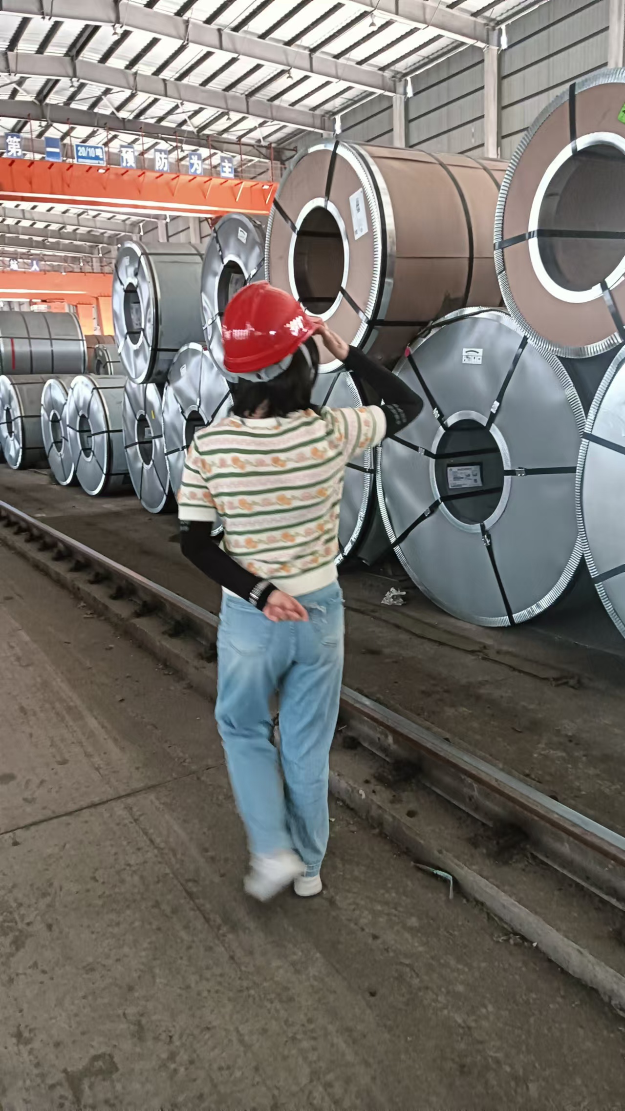 2024.6.5췿Йz